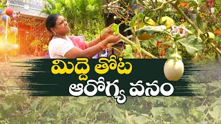 Organic Terrace Gardening by Nalgonda Couple | Vegetables, Fruits Donated to Orphans || Idi Sangathi