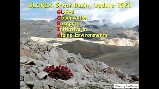 Monitoring alpine plants as climate change, a GLORIA Great Basin update by Jim Bishop