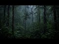 Relaxing Rain Sounds in the Forest | Calm Your Mind & Sleep Deeply 6