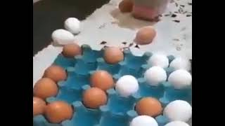 Egg chess