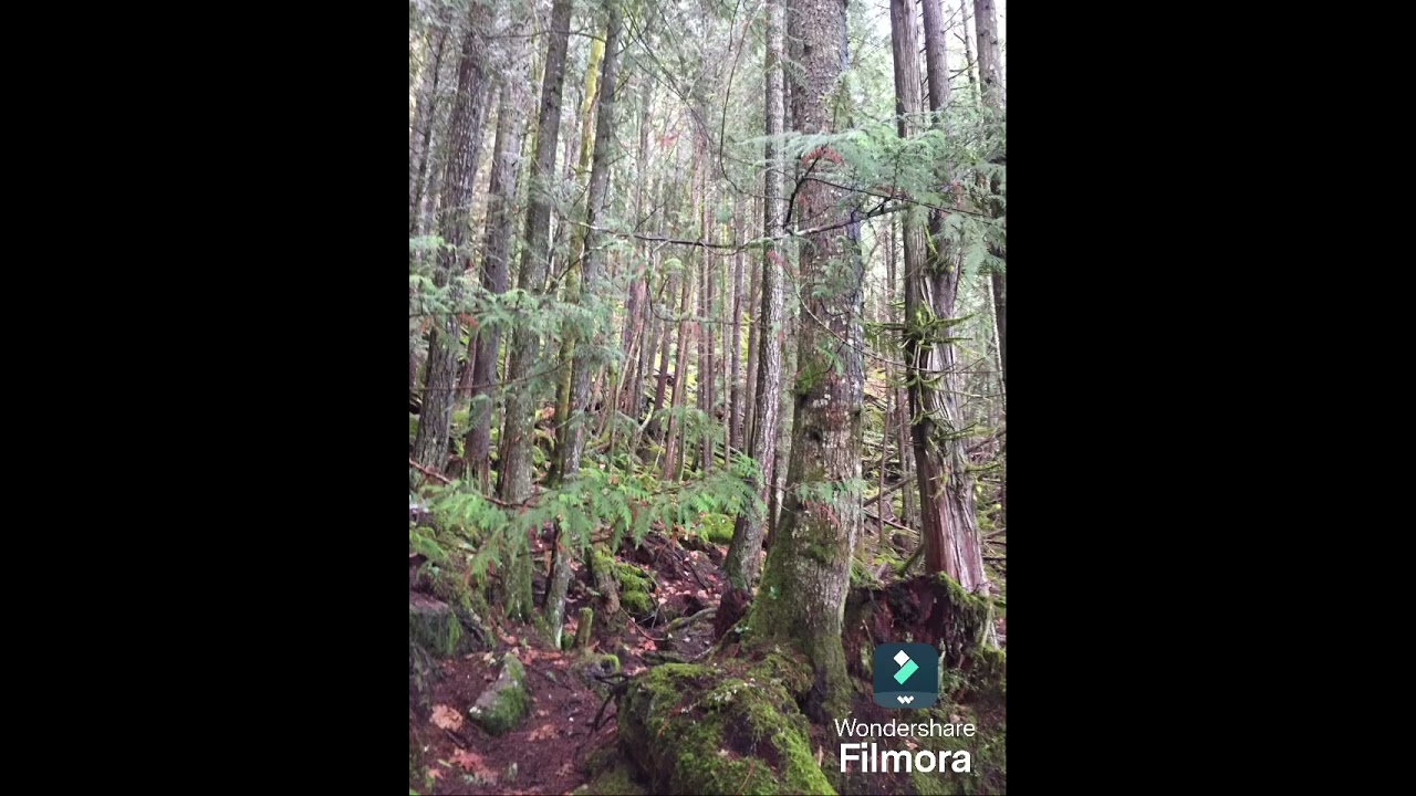 My scenic compilation pt1