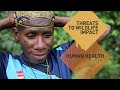 Global Wildlife Program: Working Together for Wildlife, People, Economies & Development