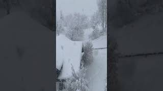 Winter Wonderland Switzerland Walking Tour