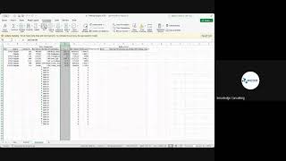 Data Cleaning & Excel Functions 2025 09 17