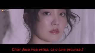 Younha - Winter Flower Feat. Rm Of Bts Vesuri In Romana