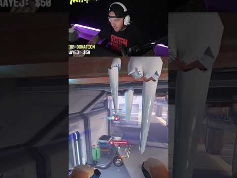 THIS CAT JUST SAVED OVERWATCH