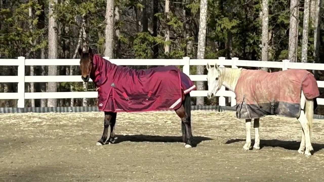 今年もうまくいったかな。12月の風景
