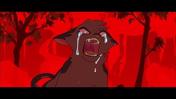 RORY - Ashfur MAP -  Part 13