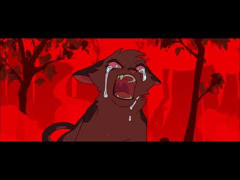 RORY - Ashfur MAP -  Part 13