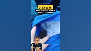 Di Kota ini: Bisa Ribuan Nyamuk Sekali Tangkap. #shorts #education #facts