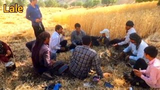 Picking agricultural products and preparing a delicious lunch and breakfast by a nomadic family