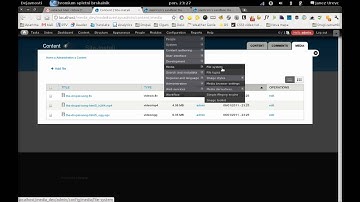 HTML5 video support with multiple files using Derivatives API (Drupal GSoC 2011)