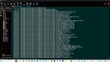 Install Oracle Database 19c On Oracle Linux Server 7.9 - PART 3 SQLPLUS Option
