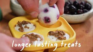 What Makes The Pupsicle Special Woof Wholesale