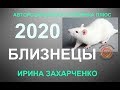 ♊БЛИЗНЕЦЫ. Гороскоп Близнецы на 2020 год. 12 домов гороскопа. ТАРО-ПРОГНОЗ.