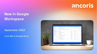 Lock files in Google Drive