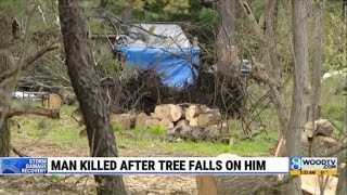 Strong winds cause trees to topple, killing man