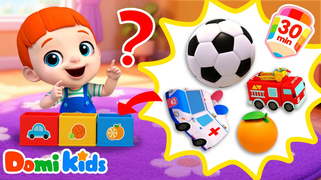 物品分類大挑戰👛| 快來看看都有什麽！🛩| 幼兒啓蒙 | 兒童認知 | 幼兒益智動畫 |🧩寶貝多米益智