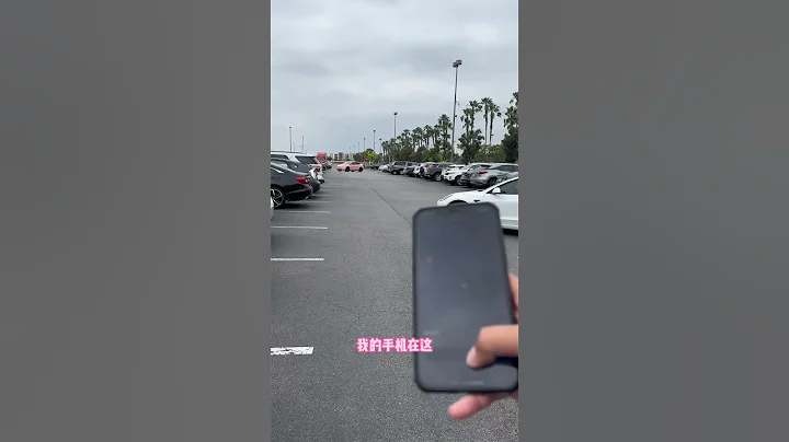 自动召唤我的#特斯拉  #modely #fsd - 天天要闻