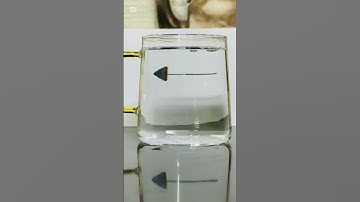 Index of refraction demo bending light #physics #experiment #shorts