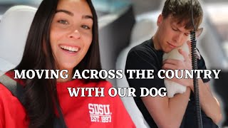 MOVING ACROSS THE COUNTRY WITH OUR DOG *42 hour roadtrip*