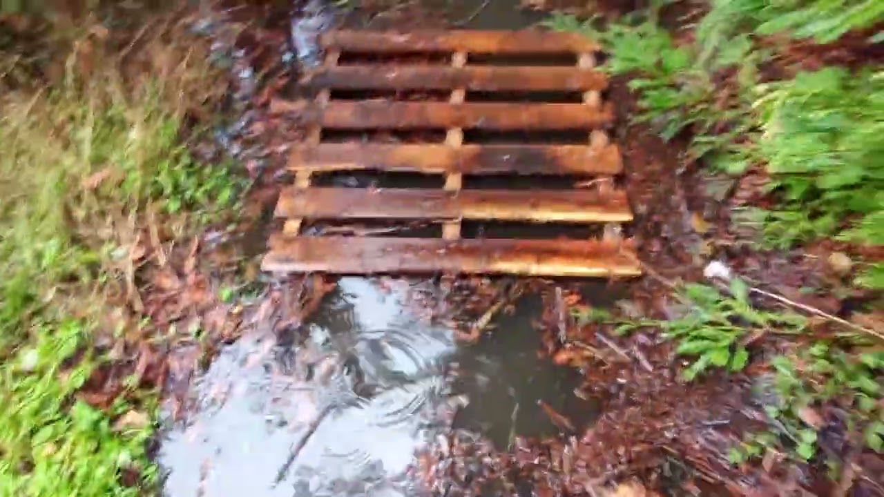 It was horrible soggy everything wet n cold