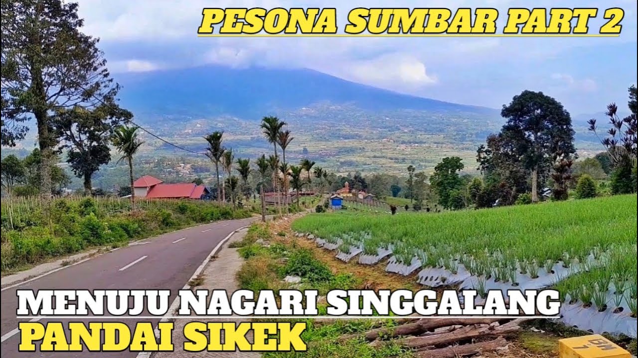 PESONA INDAH RANAH MINANG HAMPARAN LUAS PERKEBUNAN NAGARI SINGGALANG - PADAI SIKEK TANAH DATAR