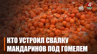Нашли виновного по «мандариновому» делу