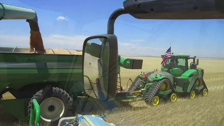 Kalcevic farms harvest 2018 with Walters Harvestin...
