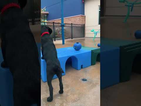 Splash Pad Party