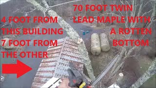 70 Foot Maple Tree Removal: Tucked Between 2 Buildings: tops Only