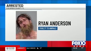 Man arrested on animal cruelty charges after allegedly abusing 2 dogs