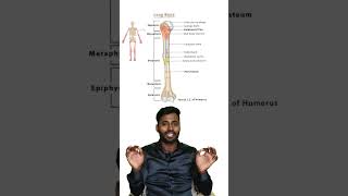 பததர கடட Vs எலமப Doctor யர கடட பன எலமப மறவ சரயகம?