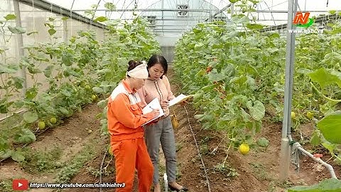 Ninh Bình tăng cường ứng dụng công nghệ cao trong trồng trọt