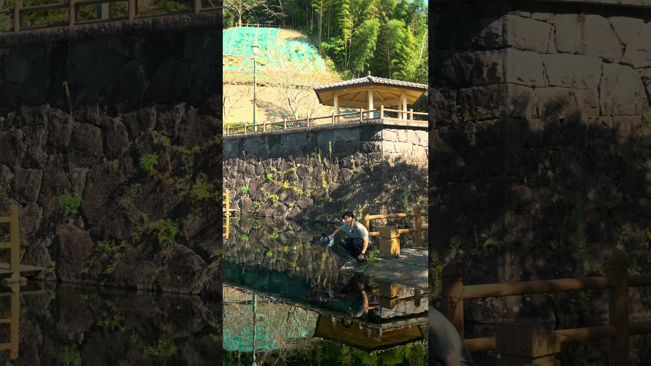 A hidden spring in southern Japan that feels like another world🌿*特別な許可を得て撮影しております。#underwater #水中