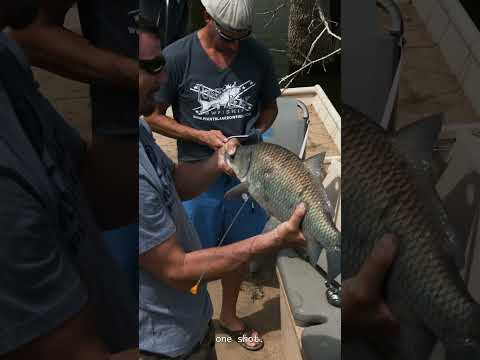 Man invents Fish Hawk Blowgun, shoots fish, breaks drone in three minutes.