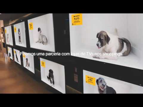 Dog Channel PEDIGREE® AlmapBBDO