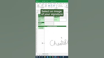 Signature in Excel‼️ #excel