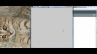 How to Create a Shape Drawing Pad like Doodle Kids in Processing: The Basics (Part 1)