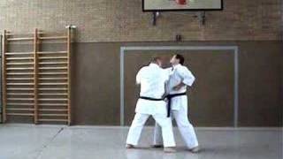Shotokan Kihon Combinations II