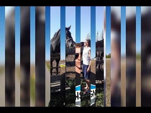 С С Л Цей листопад Гурт ГАЄВКІ