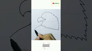 Bald Eagle Easy Drawing🦅🦅 | #drawing #shorts #ytshorts #shots #birddrawing #short