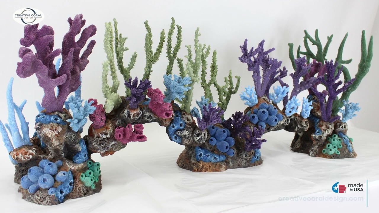 Exhibit-Grade Coral Reef Inserts at an affordable price | Creative Coral Design