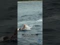 Your swimming ability matters