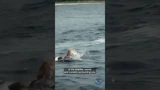 Your swimming ability matters