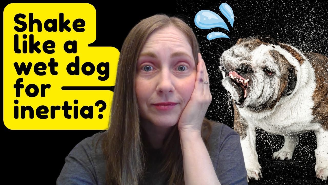 A wet dog strategy? Shake off autistic inertia and what it is