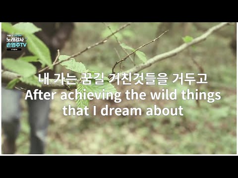 내 가는 꿈길 거친것들을 거두고After achieving the wild <strong>things</strong> that I <strong>dream</strong> 힐링영상,힐링음악, 잠잘오는영상노래강사 손영주TV,