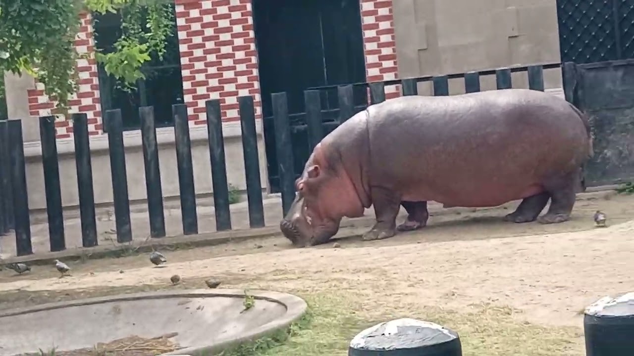 8/1/26 salida con mi famila a el zoológico de Palermo la pasamos de diez nos toco lindo dia ..