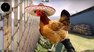 CS GO - Hide and Seek Highlights