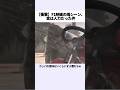 【衝撃】F1映画の雨シーン、実はCGじゃなかった…😱 #shorts